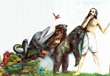 Evolucija: vidljivo i nevidljivo